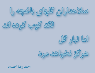 A poem by Reza Ahmadi